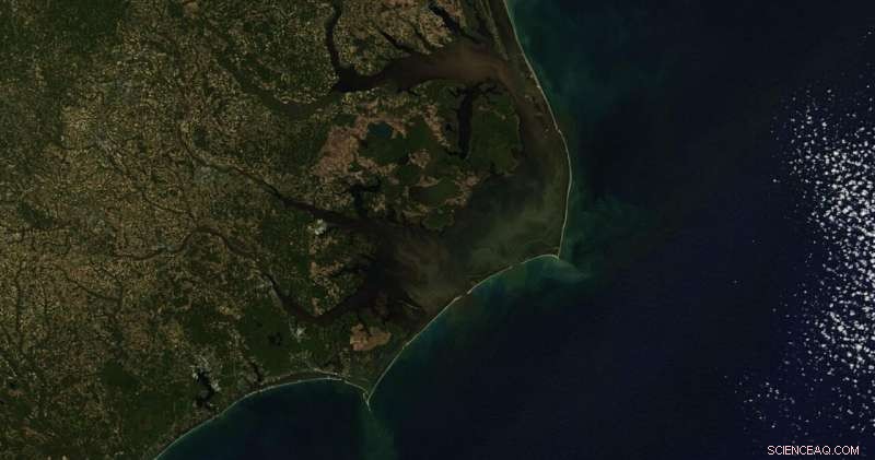 How Storms Convert Coastal Carbon Sinks into Sources