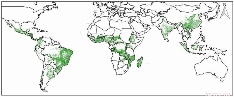 Restoring Natural Forests: Key to Achieving Global Climate Targets