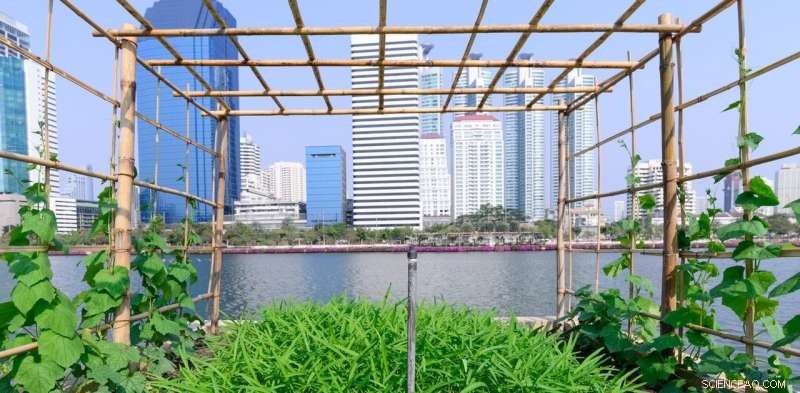 Three Sustainable Strategies for Urban Food Production That Preserve the Planet