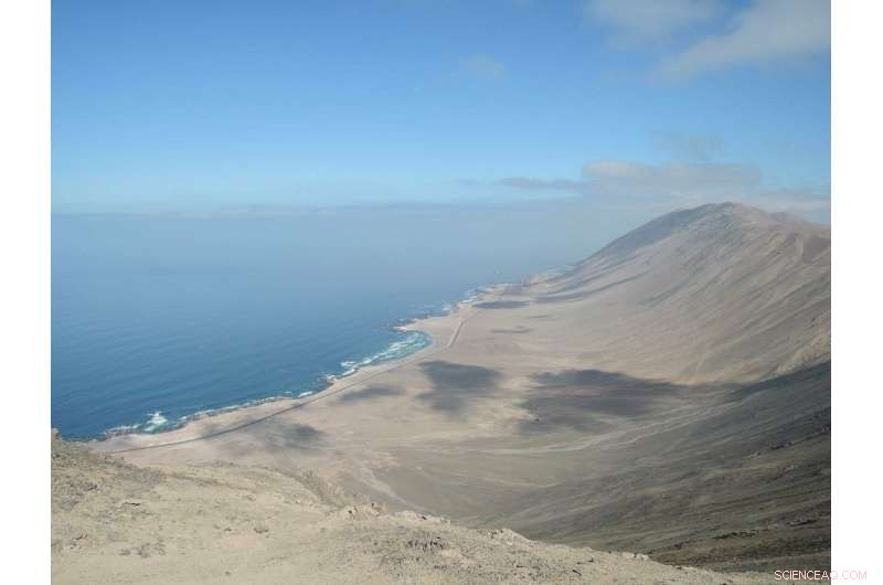 Harnessing Celestial and Oceanic Signals: Enhancing Seismic Detection at Patache Station