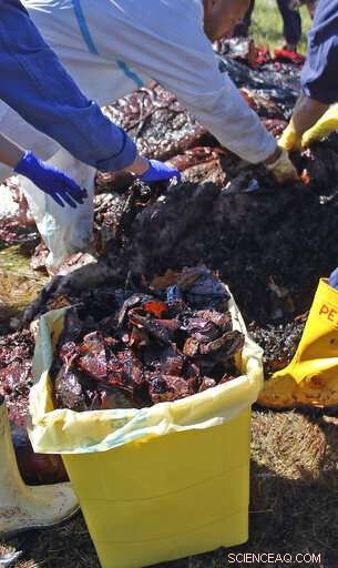 Explorer Charts Path of Plastic Pollution Through 10 Major Rivers to the Oceans