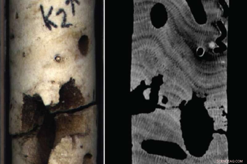 Coral Study Reveals Maui Wastewater Plant as Key Source of Excess Nitrogen