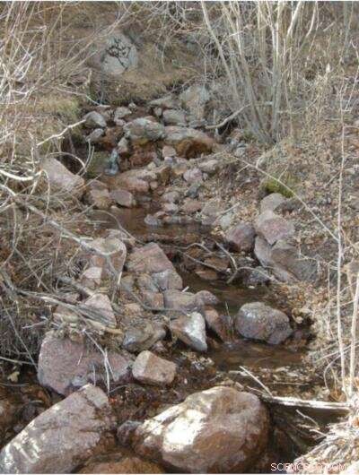 Assessing Post-Wildfire Step-Pool Stream Stability in Colorado