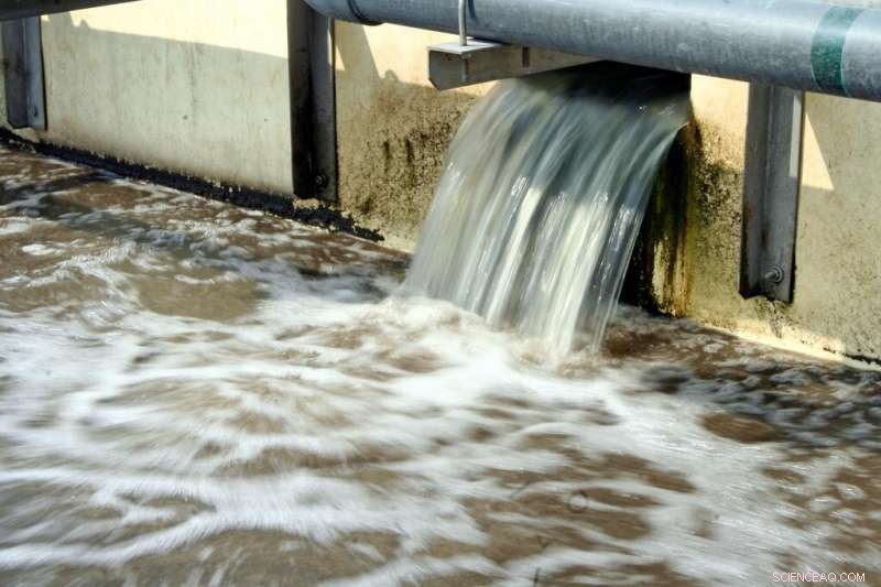 Turning Sewage into Fertilizers and Energy: A Sustainable Solution to Water Scarcity