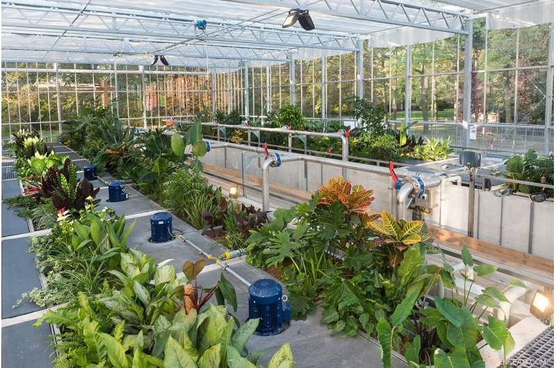 Turning Sewage into Fertilizers and Energy: A Sustainable Solution to Water Scarcity