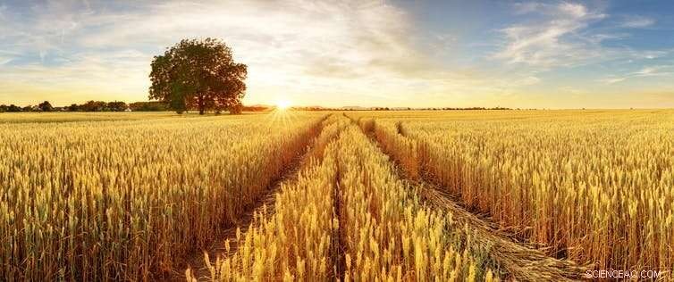 Agricultural Groups Strongly Resist Carbon Tax: Understanding Their Concerns