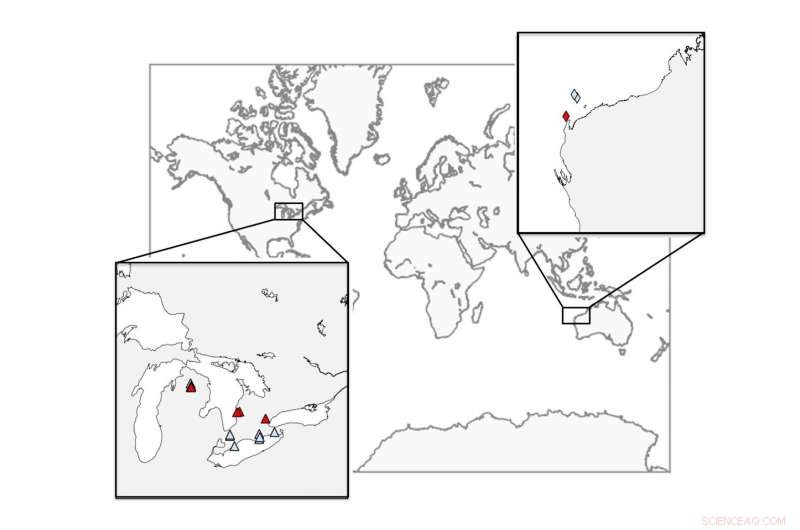 Deep-Sea Microbes Found to Drive Earth s Carbon Cycle, Scientists Reveal
