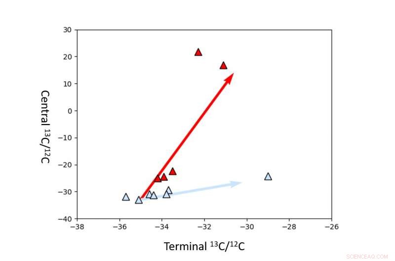 Deep-Sea Microbes Found to Drive Earth s Carbon Cycle, Scientists Reveal
