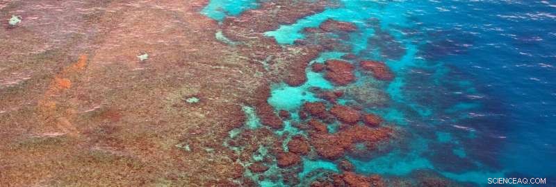 Geoengineering Trials to Shield the Great Barrier Reef Highlight Urgent Need for Updated Australian Environmental Law
