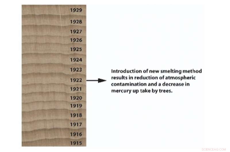 Tasmania s Bushfires May Release Decades-Old Mercury Pollution Into the Atmosphere