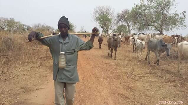 Integrating Science and Tradition: The Life of Burkina Faso’s Migratory Herder Communities