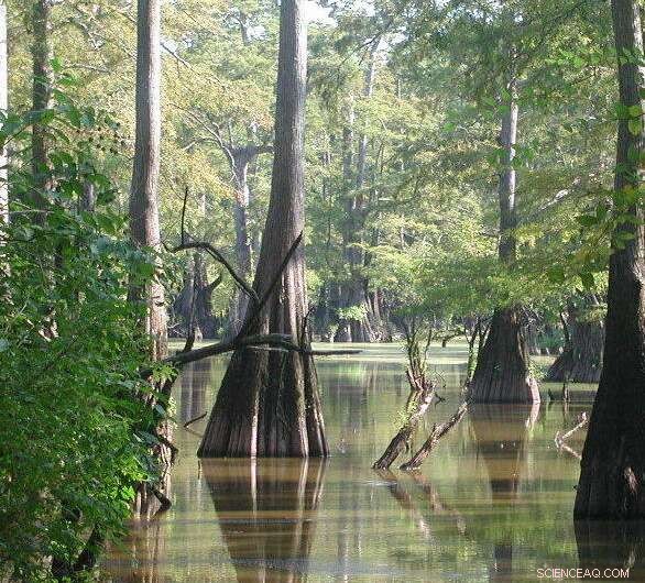 Building Climate‑Proof Cities: A Practical, Step‑by‑Step Guide for Urban Resilience
