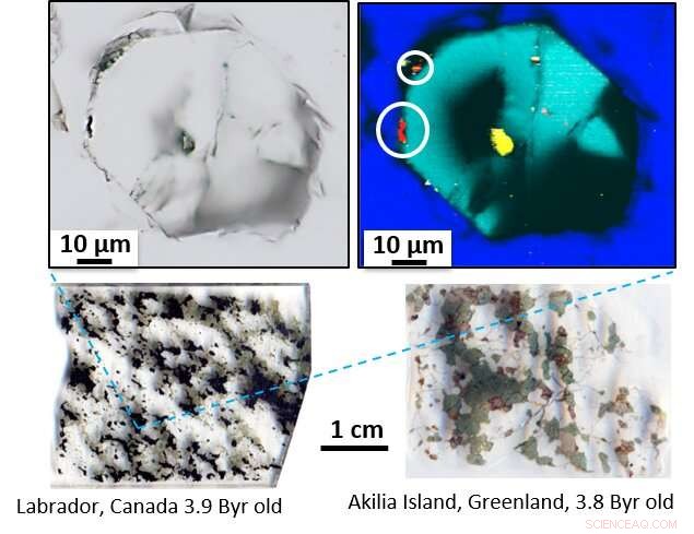Unveiling the Earliest Life: Tracking Earth s Oldest Biological Records