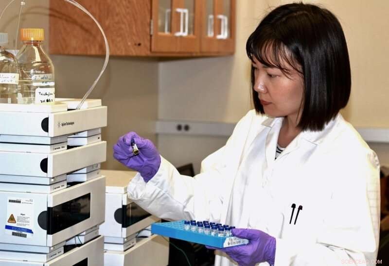 Scientists Strip Harmful Hormones from Las Vegas Wastewater with Green Algae