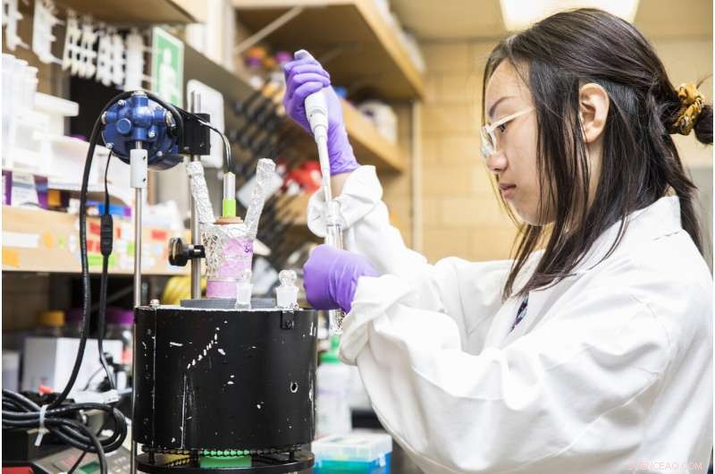 Assessing the Efficacy of Water Disinfection Methods in Degrading Antibiotic Resistance Genes