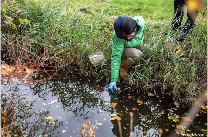 EU Rivers Contain Over 100 Pesticides, Including 24 Unapproved Chemicals
