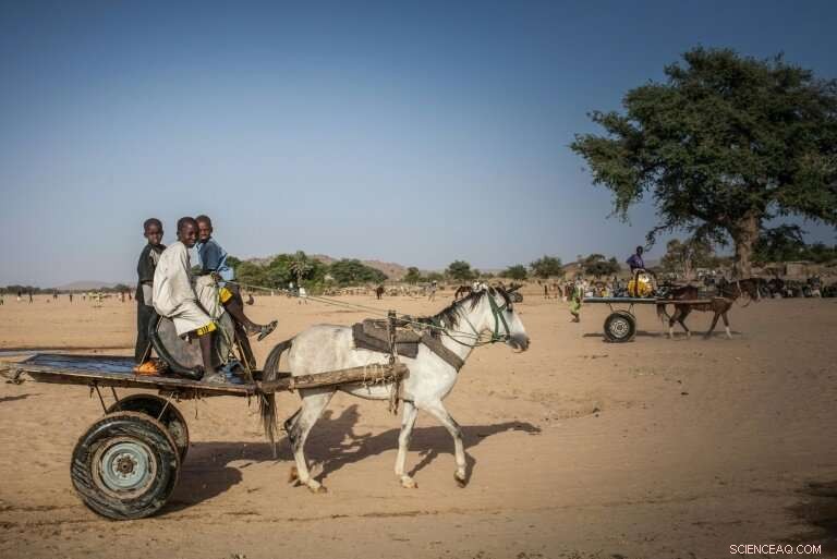 Survival in Eastern Chad Hinges on Access to Water