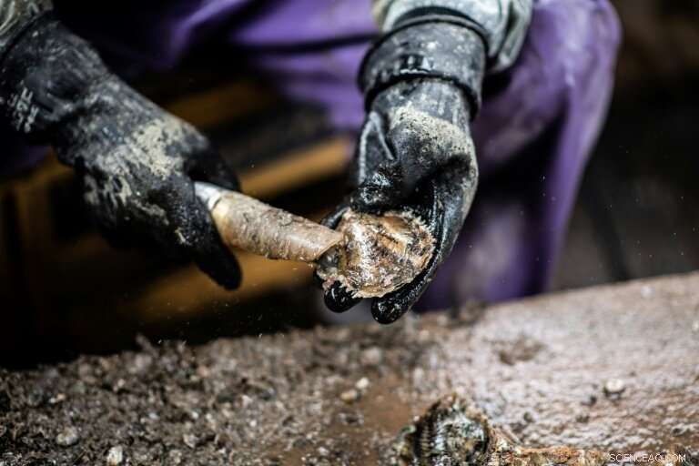 Japan s Glistening Cultured Pearl Farms: Preserving a Timeless Craft