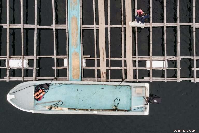 Japan s Glistening Cultured Pearl Farms: Preserving a Timeless Craft