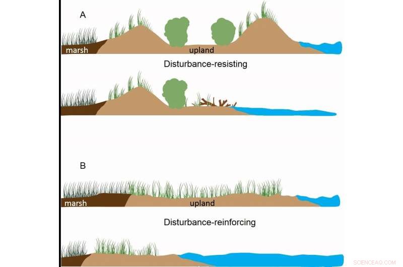 New Research Reveals Climate Change s Impact on Virginia s Barrier Islands