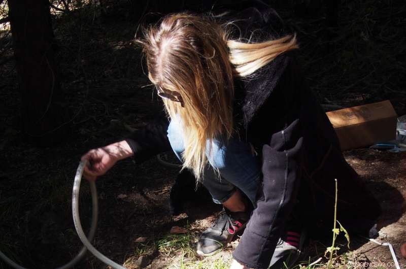 Using Radioactive Tracers, Scientists Uncover the Age of Streamflow