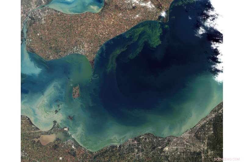 Lake Erie’s Toxic Algae Blooms: Unpacking the Green Water Crisis