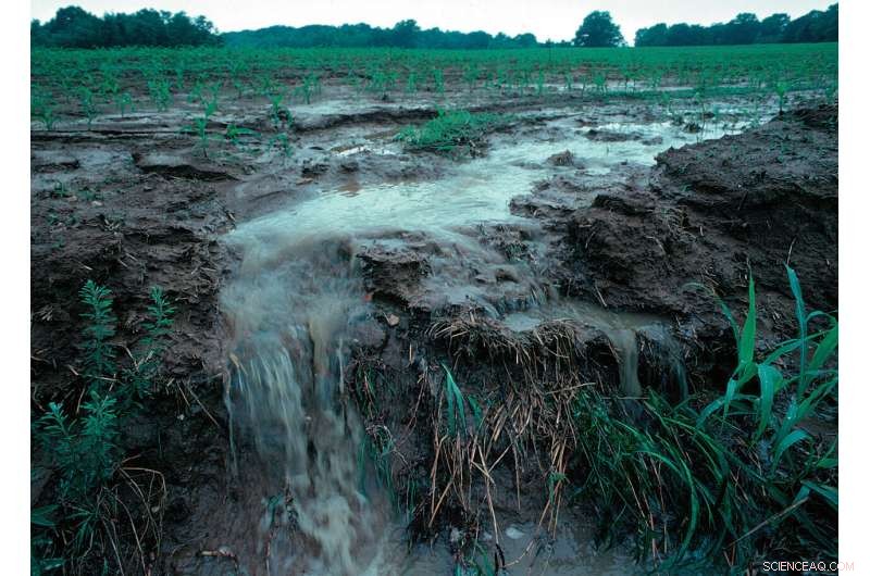 Lake Erie’s Toxic Algae Blooms: Unpacking the Green Water Crisis