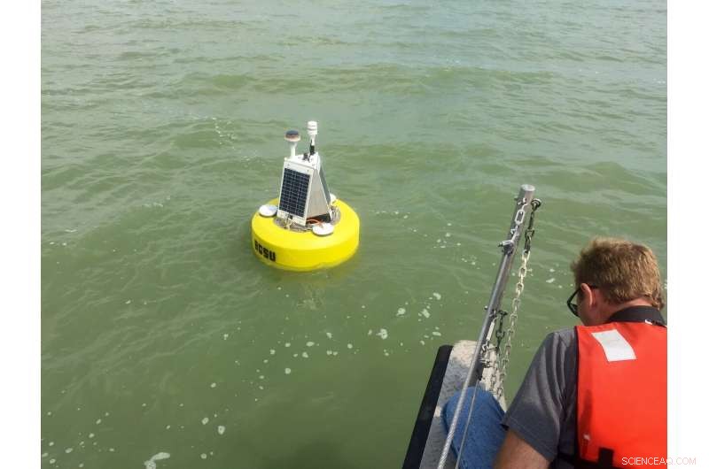 Lake Erie’s Toxic Algae Blooms: Unpacking the Green Water Crisis