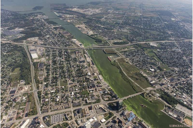 Lake Erie’s Toxic Algae Blooms: Unpacking the Green Water Crisis
