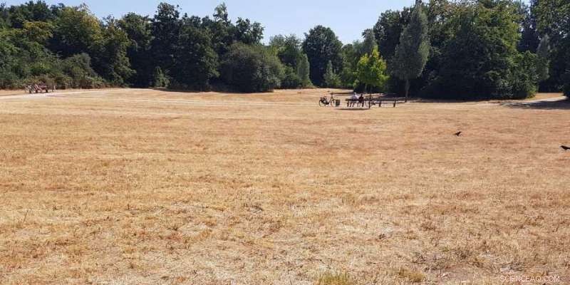 Anthropogenic Climate Change Sparks Simultaneous Global Heatwaves