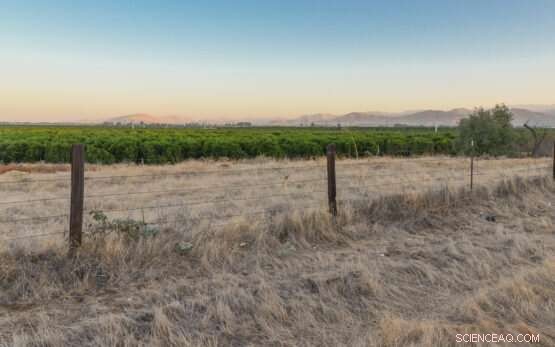 Flooded Fields as a Tool for Groundwater Recharge: Where It Works Best