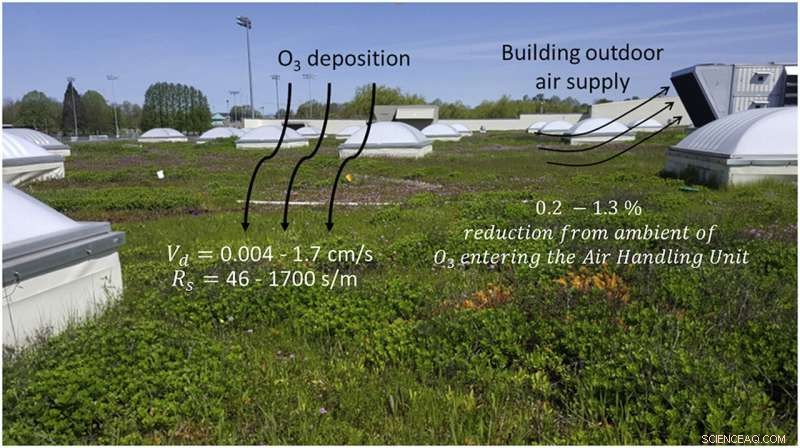 New Study Shows Green Roofs Reduce Indoor Air Pollution