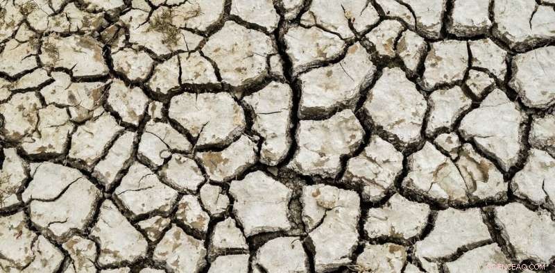 Transforming Economics and Design to Weather Climate Change