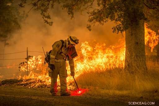 Clearing Forests: The Complex Quest to Combat California Wildfires