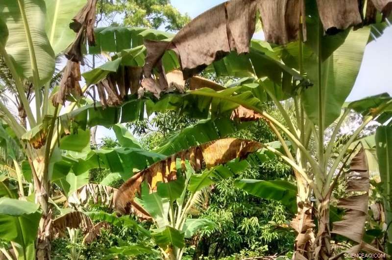 George Monbiot Explains How Revitalizing Nature Can Combat Climate Change