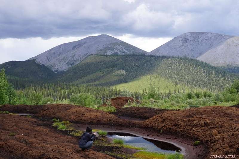 Study Confirms Climate Change Signals in Yukon Permafrost Over 13,600 Years