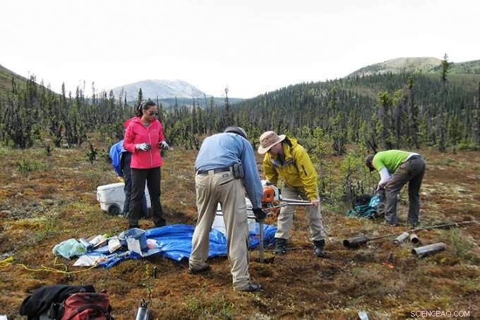 Study Confirms Climate Change Signals in Yukon Permafrost Over 13,600 Years