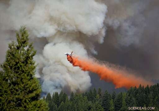 California Urges Rapid Predictions to Identify Towns at Risk of Wildfire