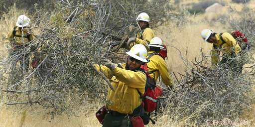 California Urges Rapid Predictions to Identify Towns at Risk of Wildfire