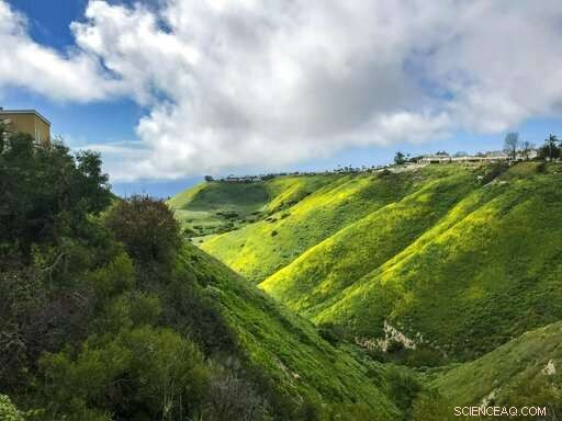 California Urges Rapid Predictions to Identify Towns at Risk of Wildfire