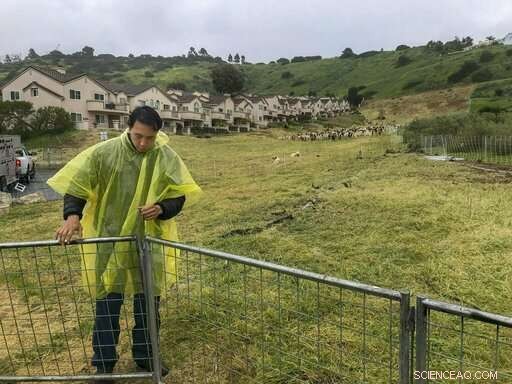 California Urges Rapid Predictions to Identify Towns at Risk of Wildfire