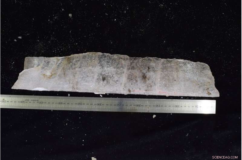 Uncovering Climate Secrets with Ice Wedge Analysis