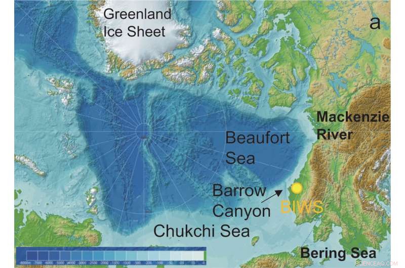 Uncovering Climate Secrets with Ice Wedge Analysis