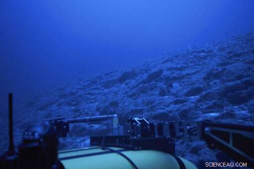 Exploring Uncharted Underwater Landscapes off the Seychelles