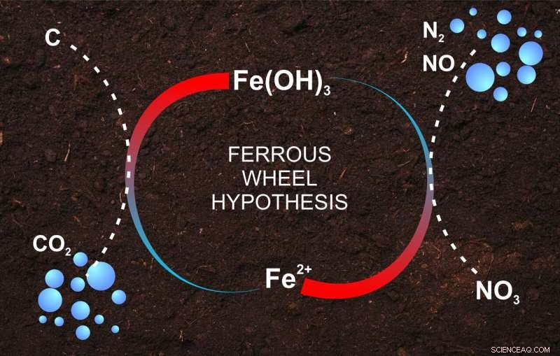 Agrochemists Confirm Ferrous Wheel Hypothesis, Advancing Soil Iron Understanding