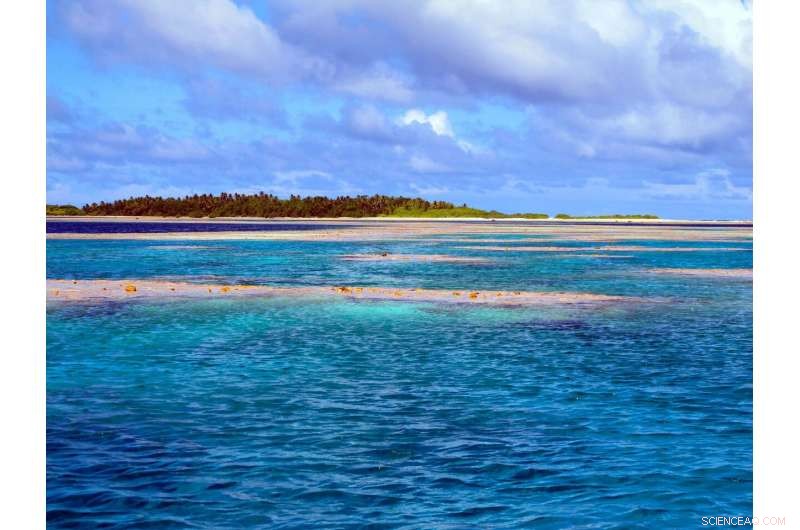 Coordinated Bacterial Shifts Around Coral Reefs Span Vast Distances