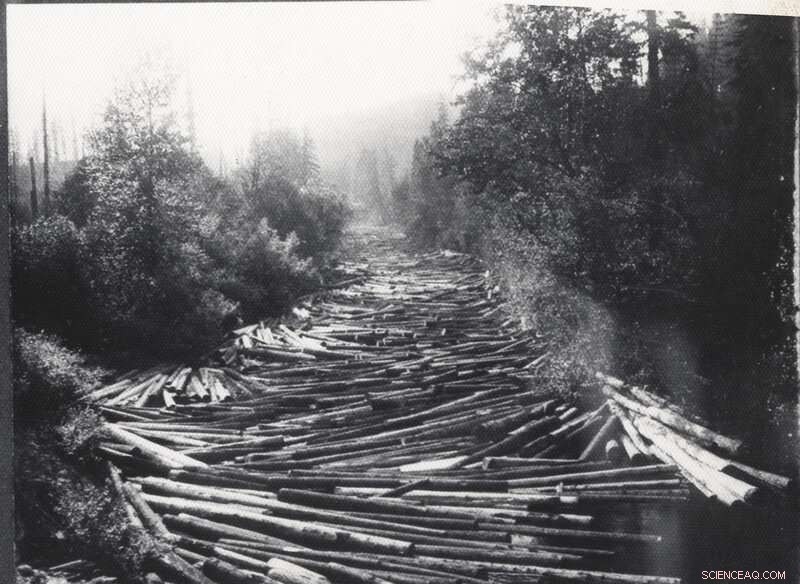First Recorded Human-Induced Bedrock Erosion on a River: Insights from a Historic Logging Site