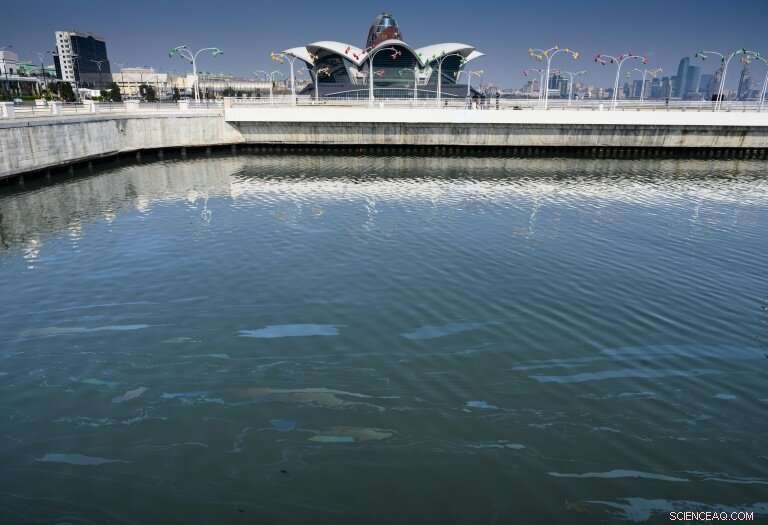 Caspian Sea Threatened by Pollution: Endangered Seals, Caviar, and Oil Risks