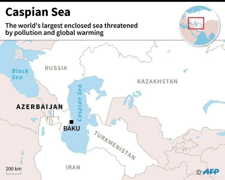 Caspian Sea Threatened by Pollution: Endangered Seals, Caviar, and Oil Risks