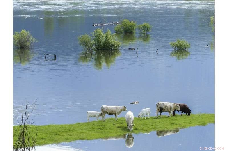 How Midwest Floods Are Destroying Vital Topsoil and Threatening Food Security